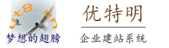 人民币800元/年即可建企业网站系统咨询服务